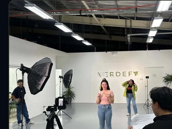Verdefy team and content production
